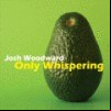 Télécharger gratuitement la musique de Josh Woodward - I'll Be Right Behind You Josephine